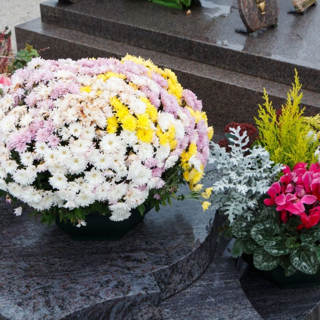 Chrysanthèmes blancs, roses et jaunes déposés sur une tombe en granit, cimetière du Sud Essonne