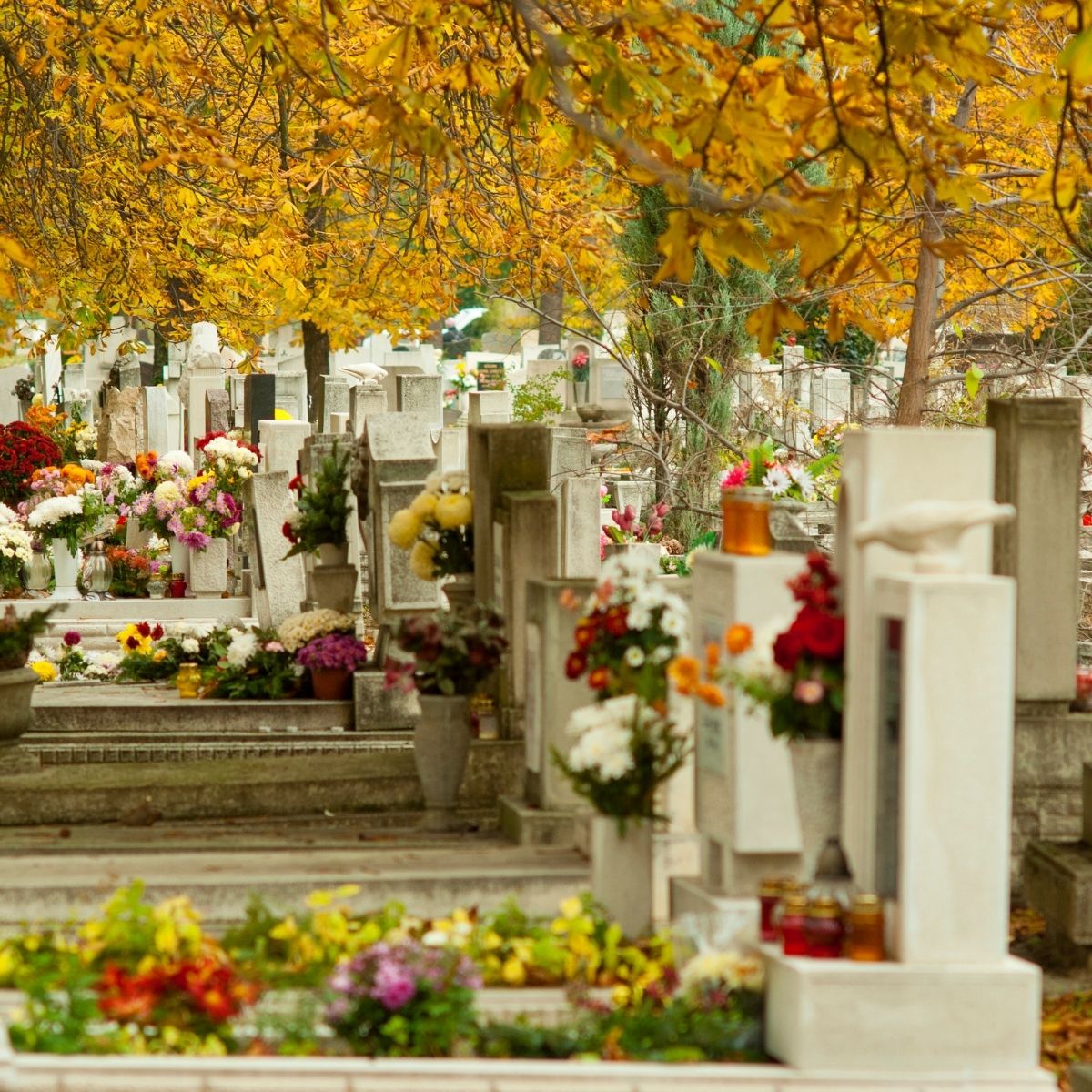 Allée d'un cimetière en automne, monuments funéraires entourés de fleurs colorées