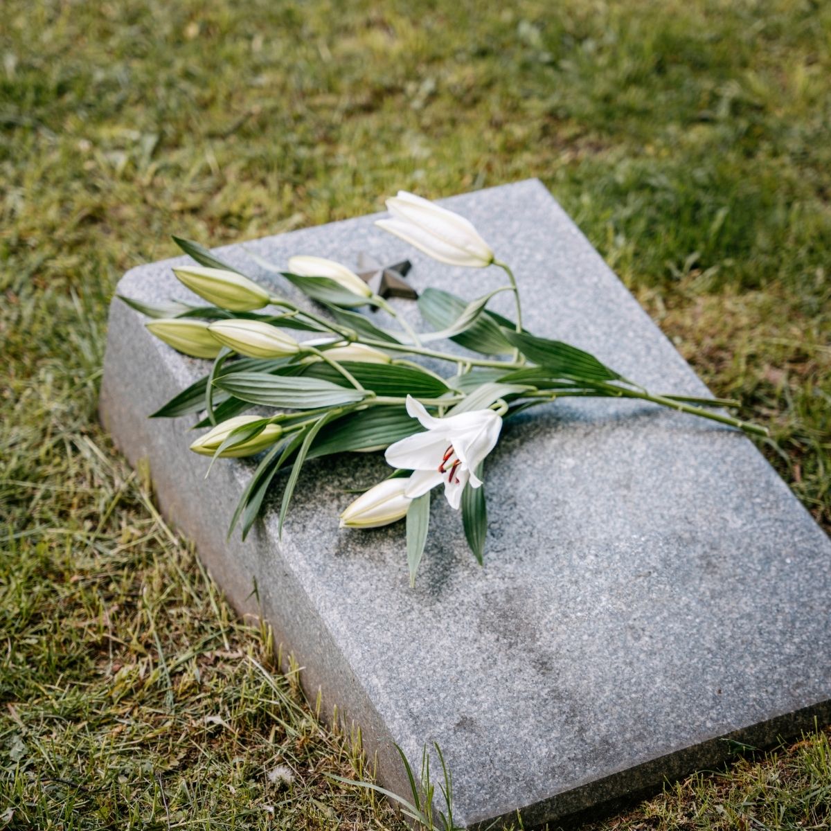 Bouquet de fleurs blanches posé sur une pierre tombale dans un cimetière